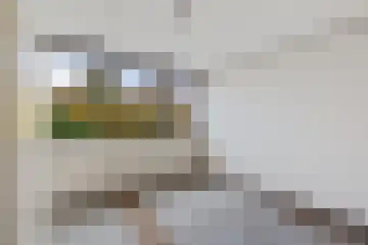 Voeghoutenstraat 282 Klazienaveen thumbnail 8