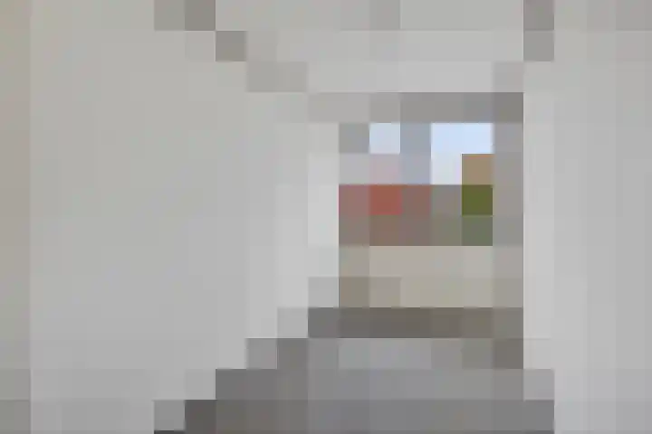 Voeghoutenstraat 282 Klazienaveen thumbnail 9