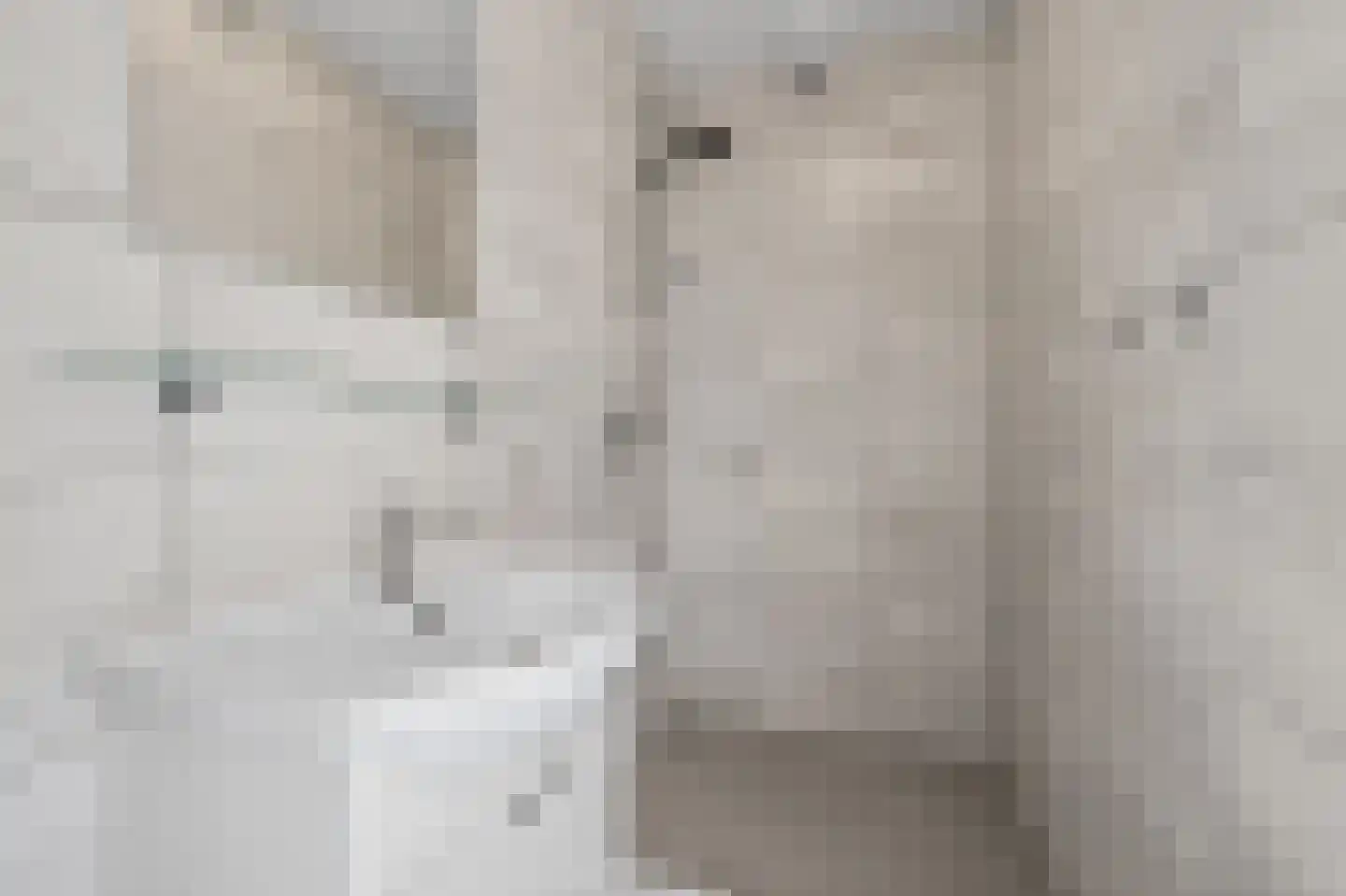 Voeghoutenstraat 31 Klazienaveen thumbnail 19