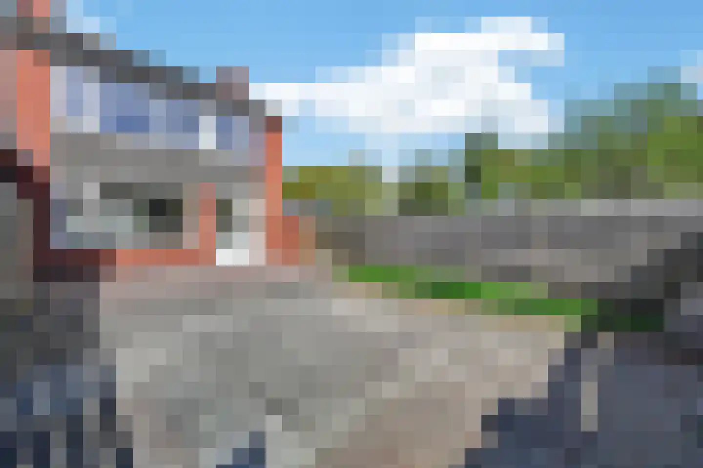 Voeghoutenstraat 31 Klazienaveen thumbnail 29