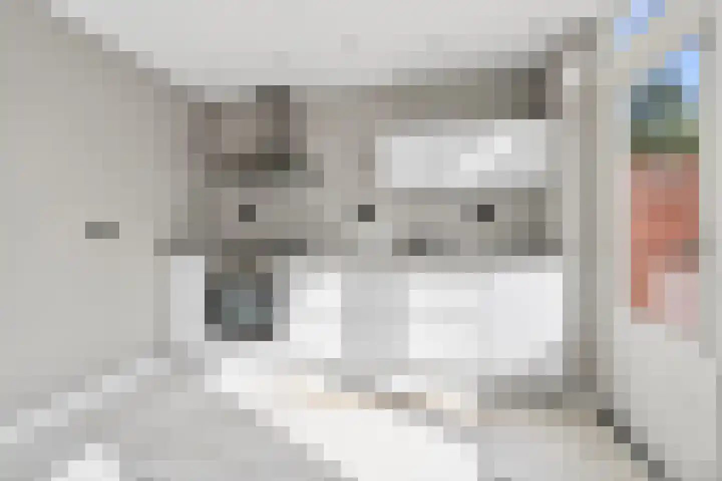 Voeghoutenstraat 31 Klazienaveen thumbnail 7