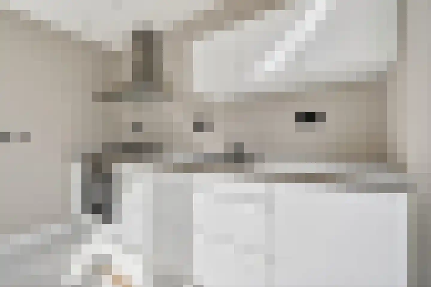 Voeghoutenstraat 31 Klazienaveen thumbnail 8