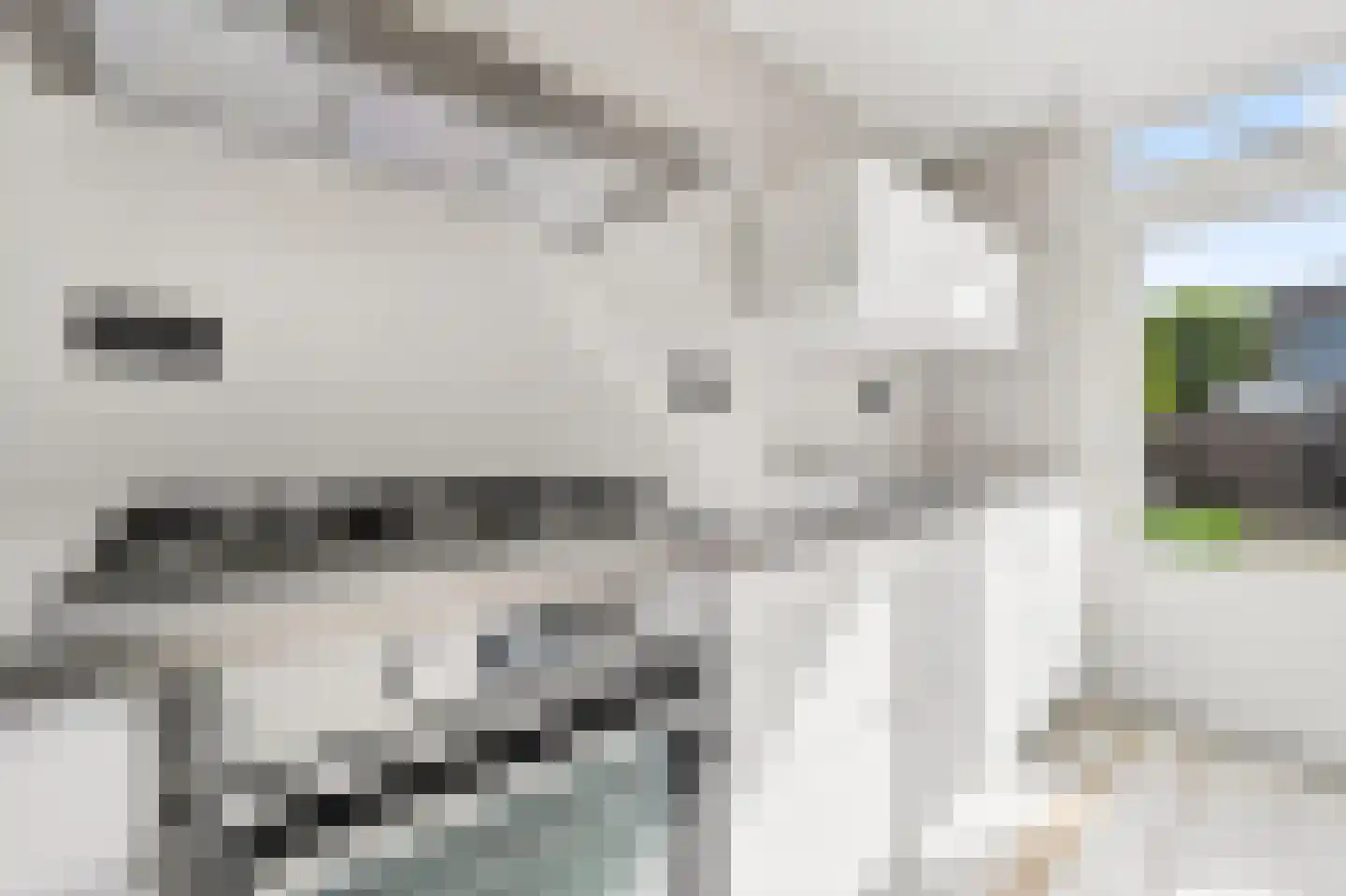 Voeghoutenstraat 31 Klazienaveen thumbnail 9
