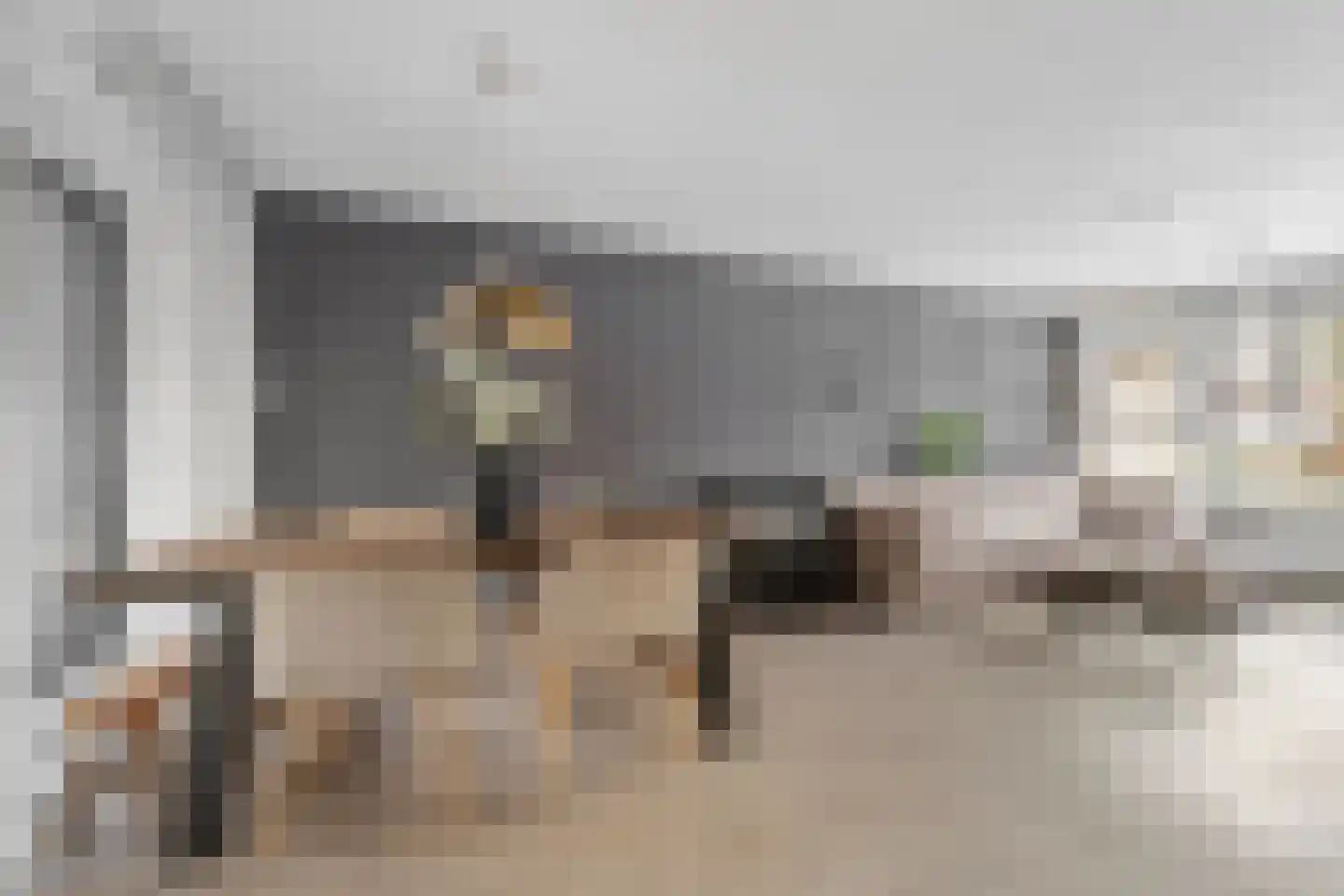 Voeghoutenstraat 49 Klazienaveen thumbnail 11