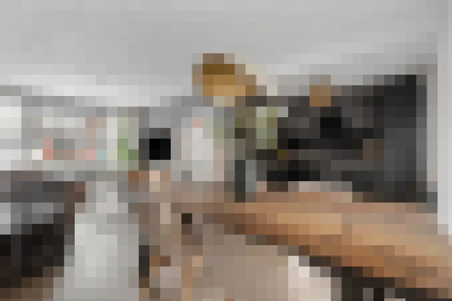 Voeghoutenstraat 49 Klazienaveen thumbnail 12
