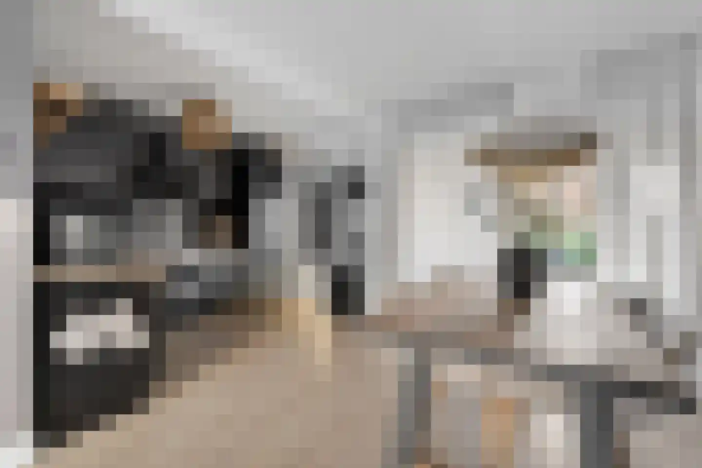 Voeghoutenstraat 49 Klazienaveen thumbnail 13