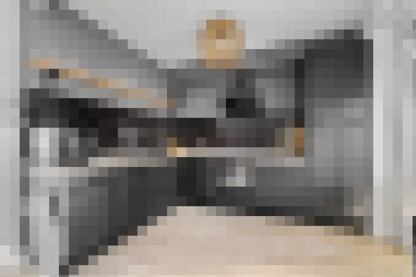 Voeghoutenstraat 49 Klazienaveen thumbnail 14