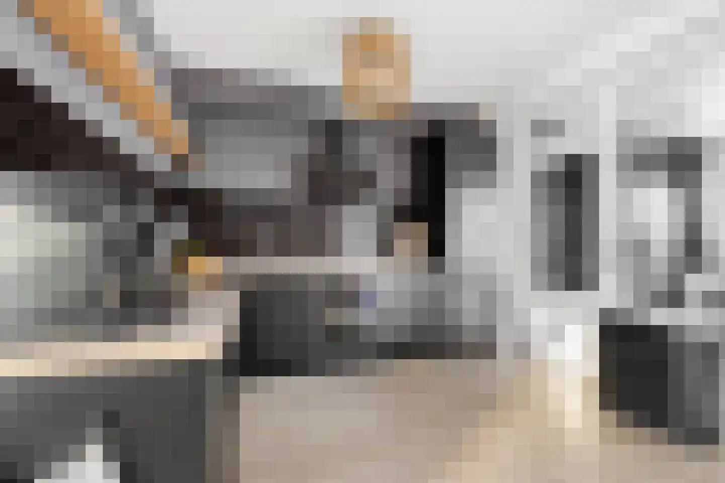 Voeghoutenstraat 49 Klazienaveen thumbnail 15