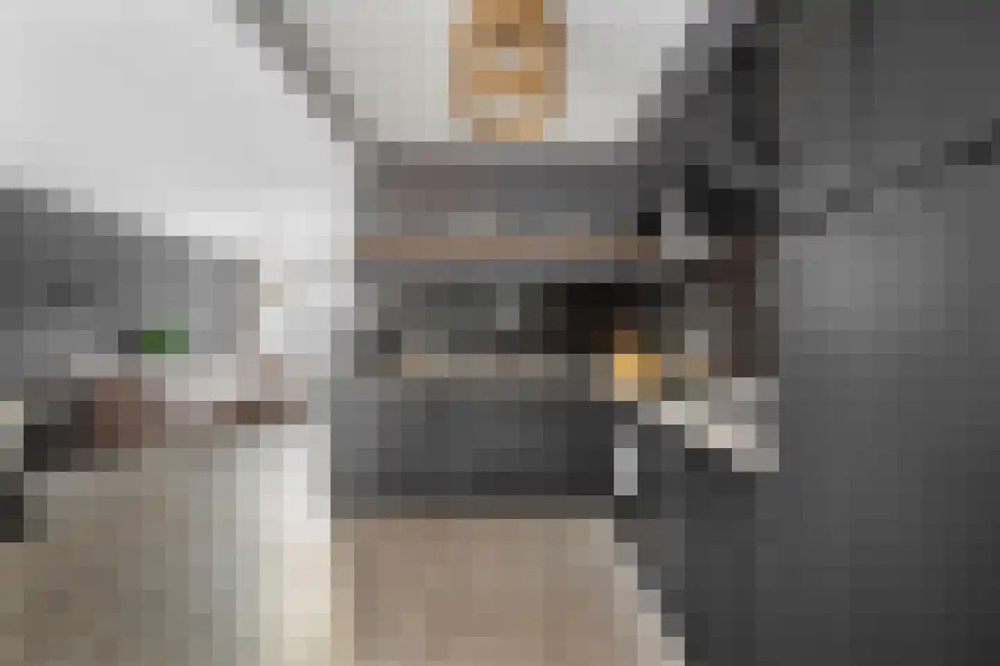 Voeghoutenstraat 49 Klazienaveen thumbnail 16
