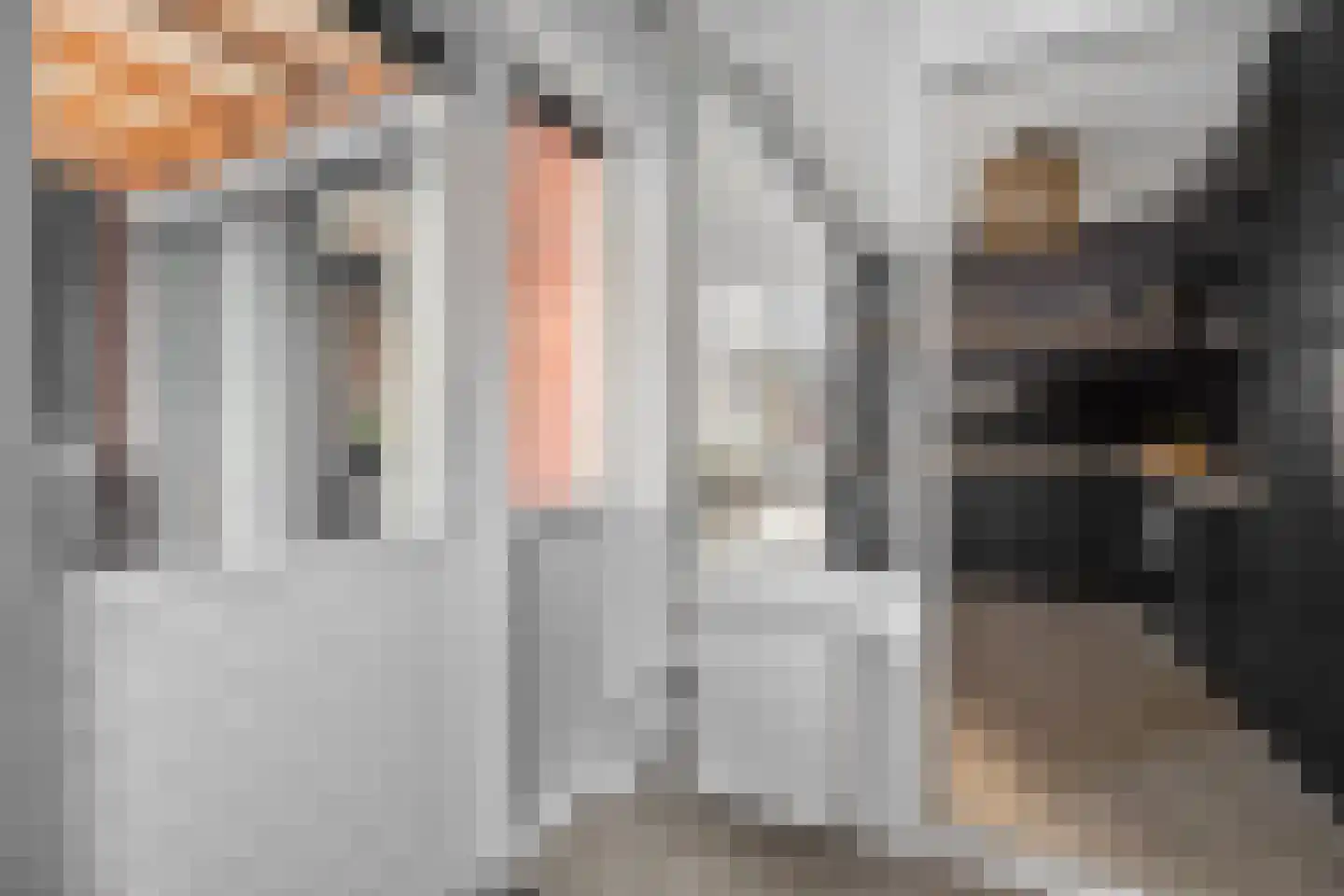 Voeghoutenstraat 49 Klazienaveen thumbnail 18