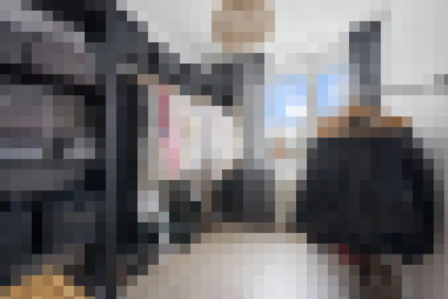 Voeghoutenstraat 49 Klazienaveen thumbnail 27