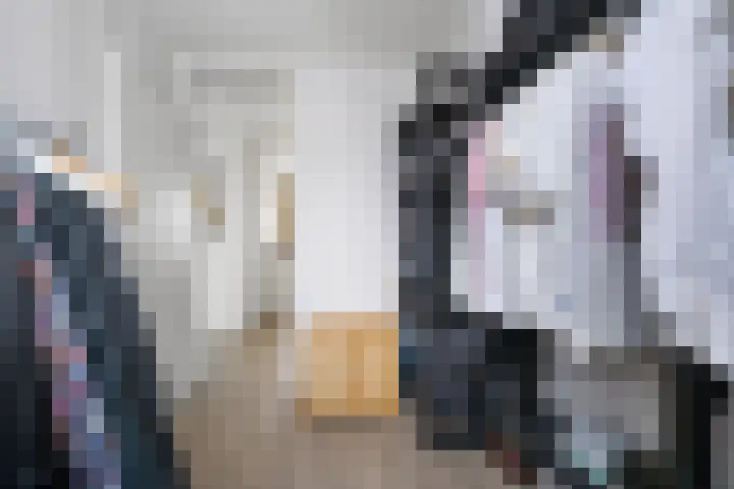 Voeghoutenstraat 49 Klazienaveen thumbnail 28