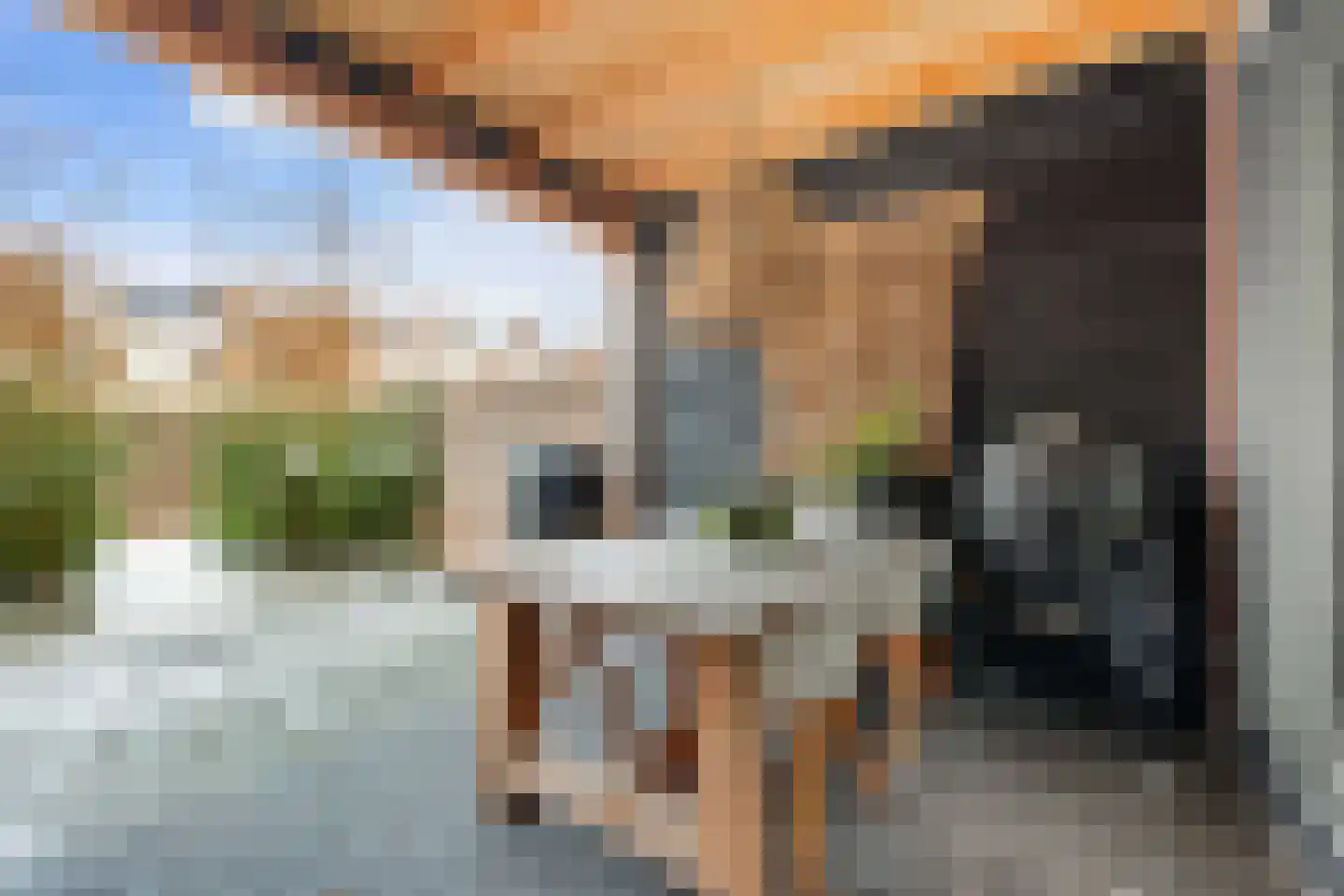 Voeghoutenstraat 49 Klazienaveen thumbnail 31