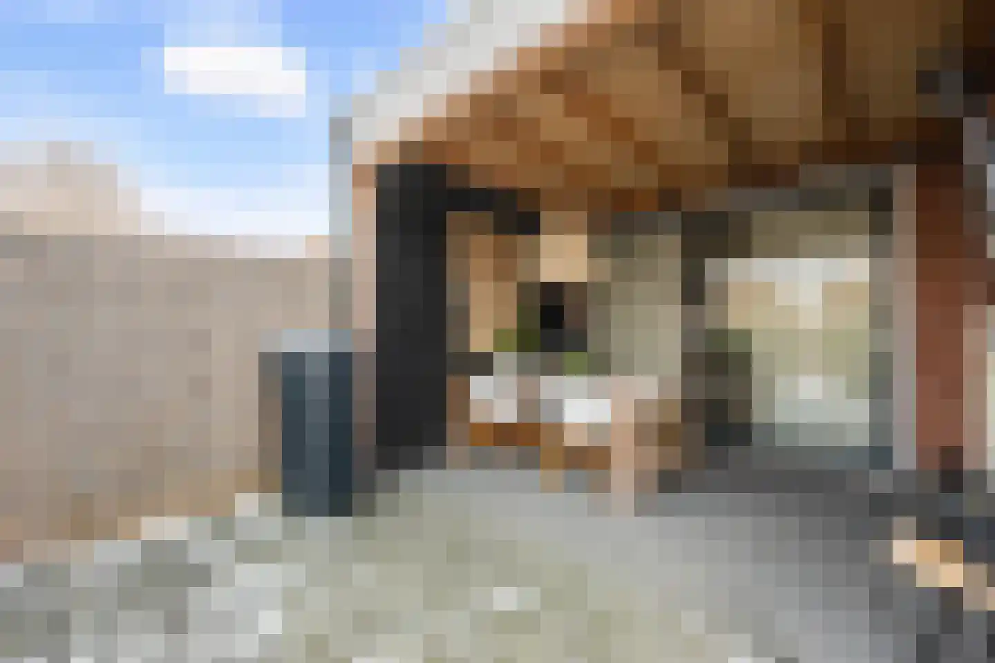 Voeghoutenstraat 49 Klazienaveen thumbnail 32