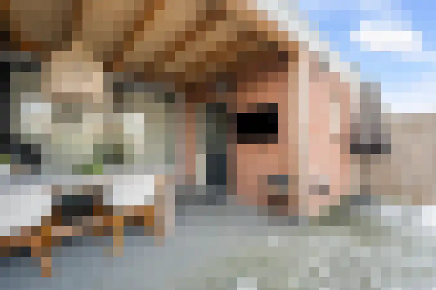 Voeghoutenstraat 49 Klazienaveen thumbnail 33