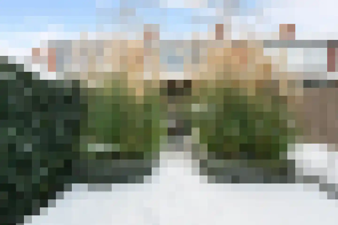 Voeghoutenstraat 49 Klazienaveen thumbnail 35