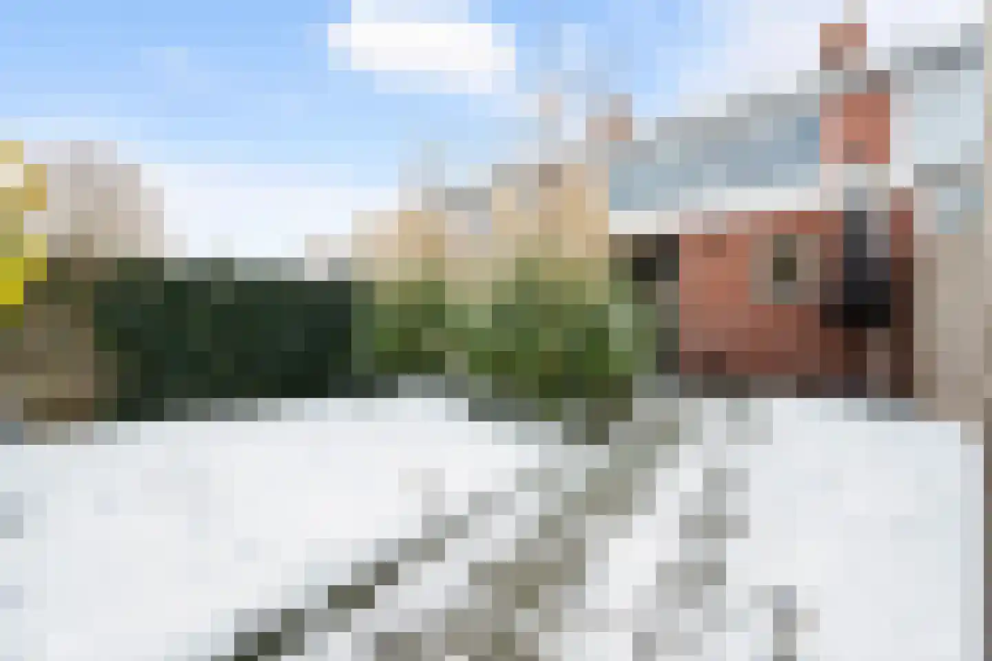 Voeghoutenstraat 49 Klazienaveen thumbnail 36