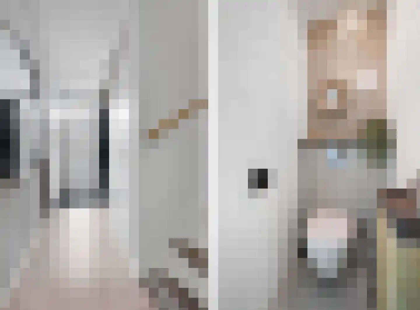 Voeghoutenstraat 49 Klazienaveen thumbnail 5