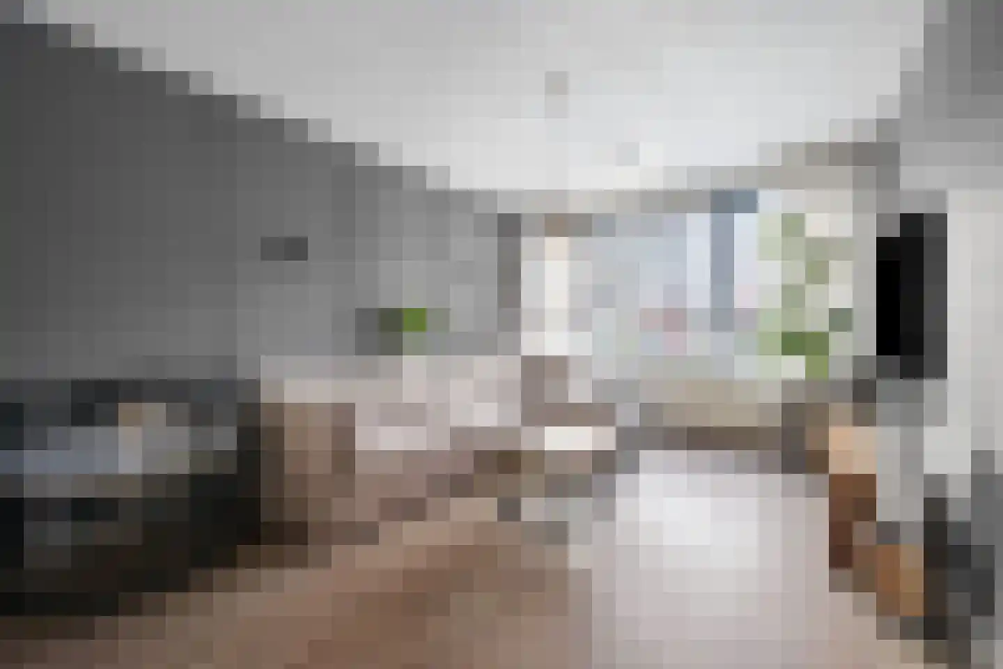 Voeghoutenstraat 49 Klazienaveen thumbnail 6