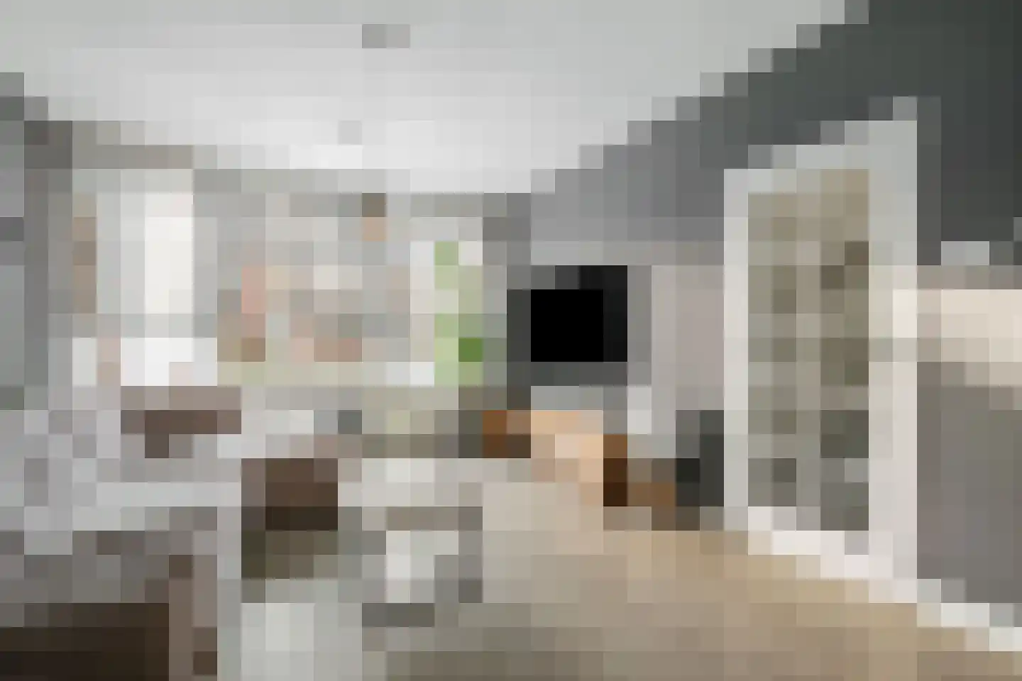 Voeghoutenstraat 49 Klazienaveen thumbnail 7