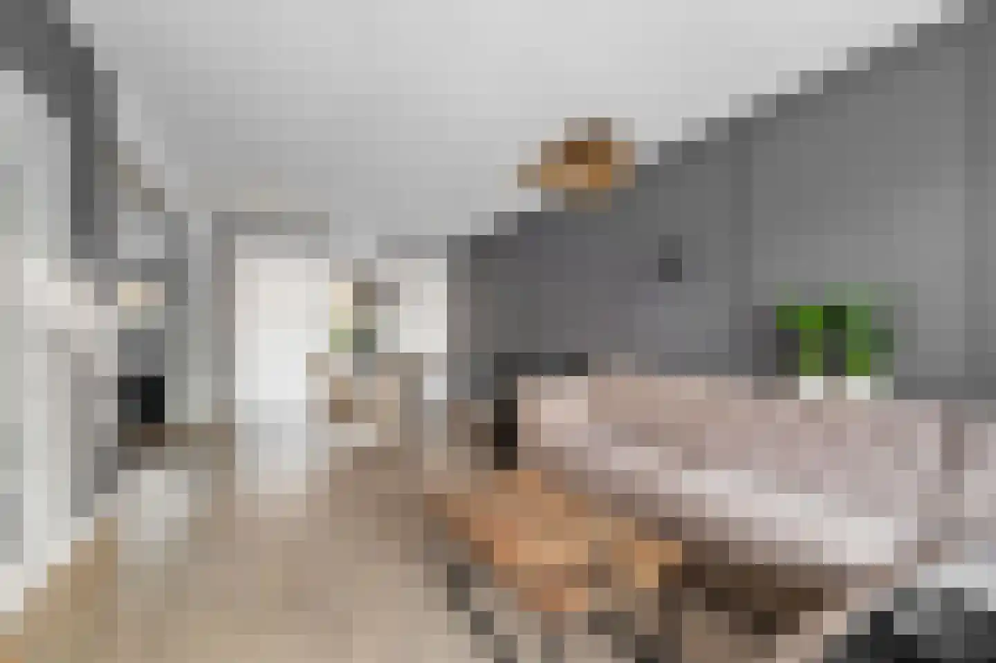 Voeghoutenstraat 49 Klazienaveen thumbnail 8