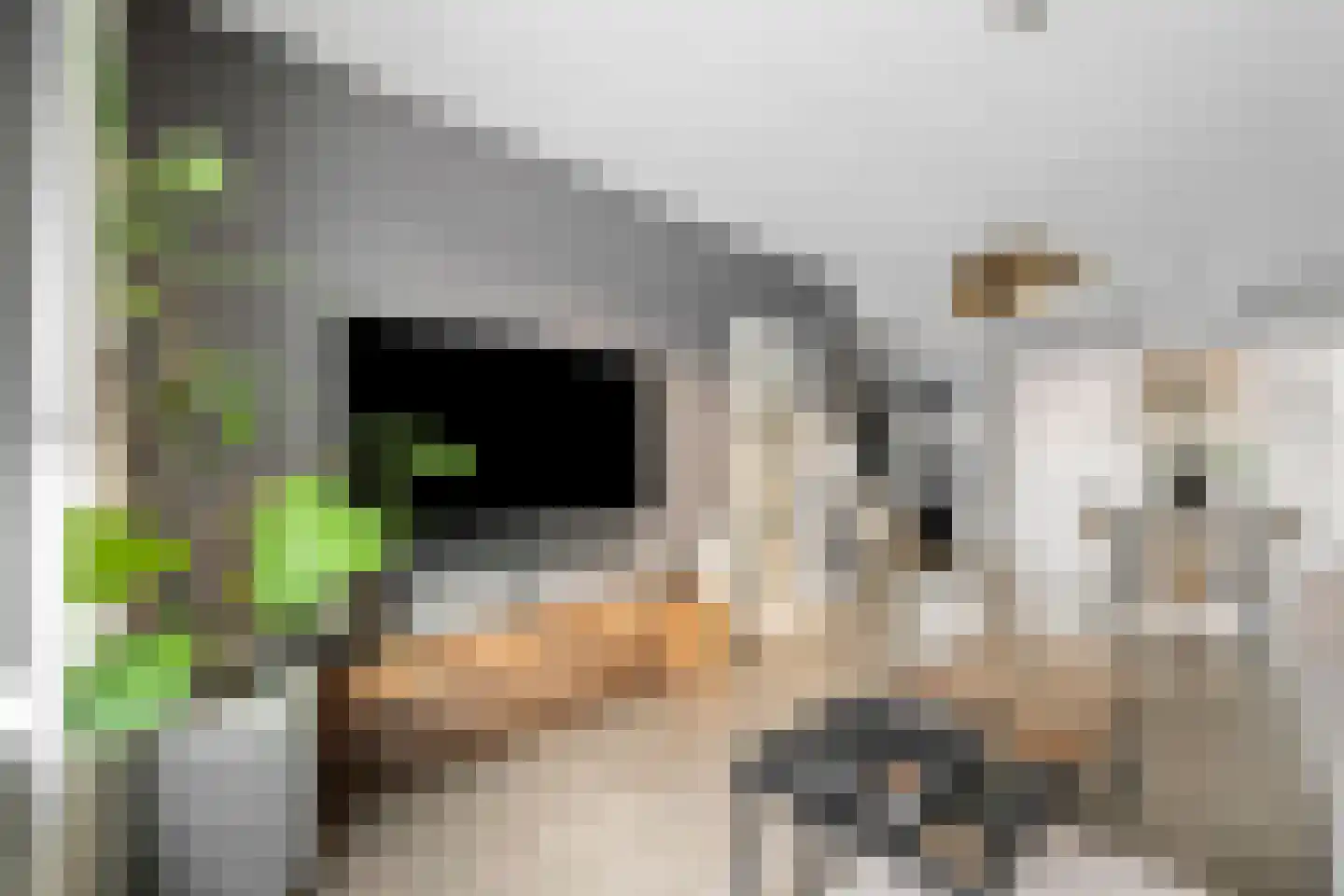 Voeghoutenstraat 49 Klazienaveen thumbnail 9