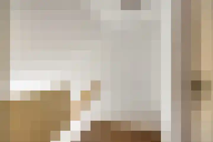 Voeghoutenstraat 54 Klazienaveen thumbnail 18