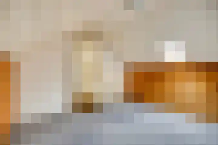 Voeghoutenstraat 54 Klazienaveen thumbnail 19