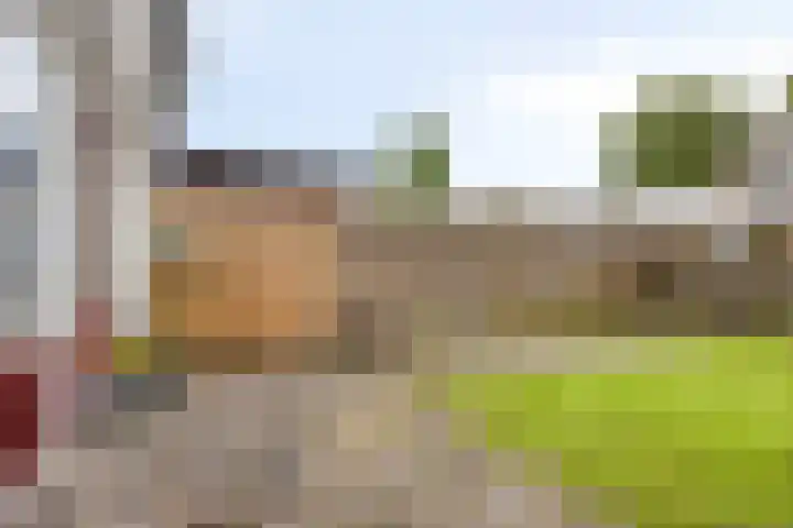 Voeghoutenstraat 54 Klazienaveen thumbnail 20