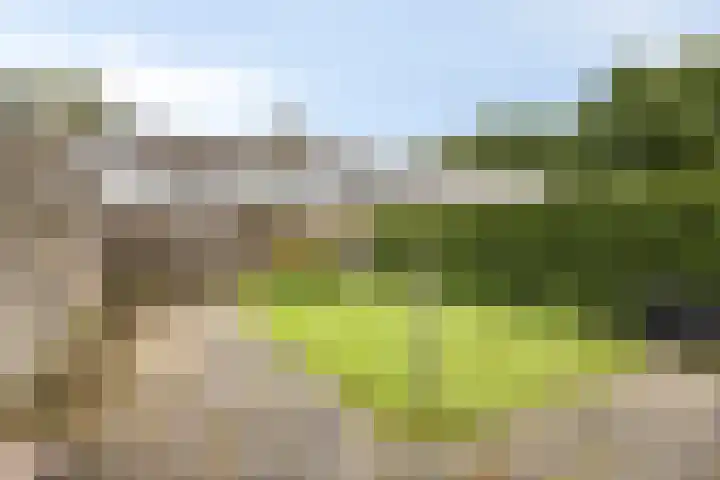 Voeghoutenstraat 54 Klazienaveen thumbnail 21