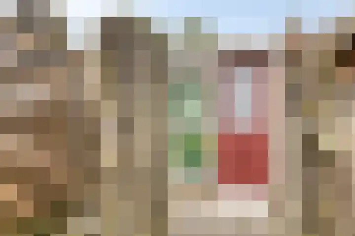 Voeghoutenstraat 54 Klazienaveen thumbnail 22