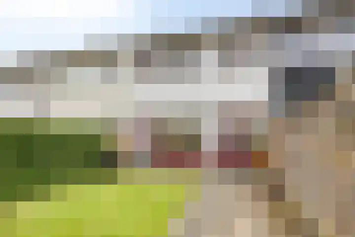 Voeghoutenstraat 54 Klazienaveen thumbnail 23