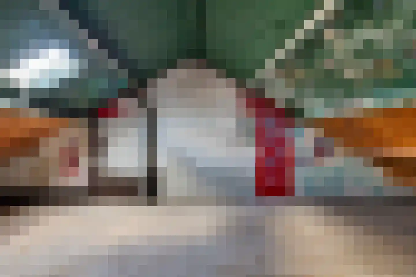 Voeghoutenstraat 60 Klazienaveen thumbnail 18
