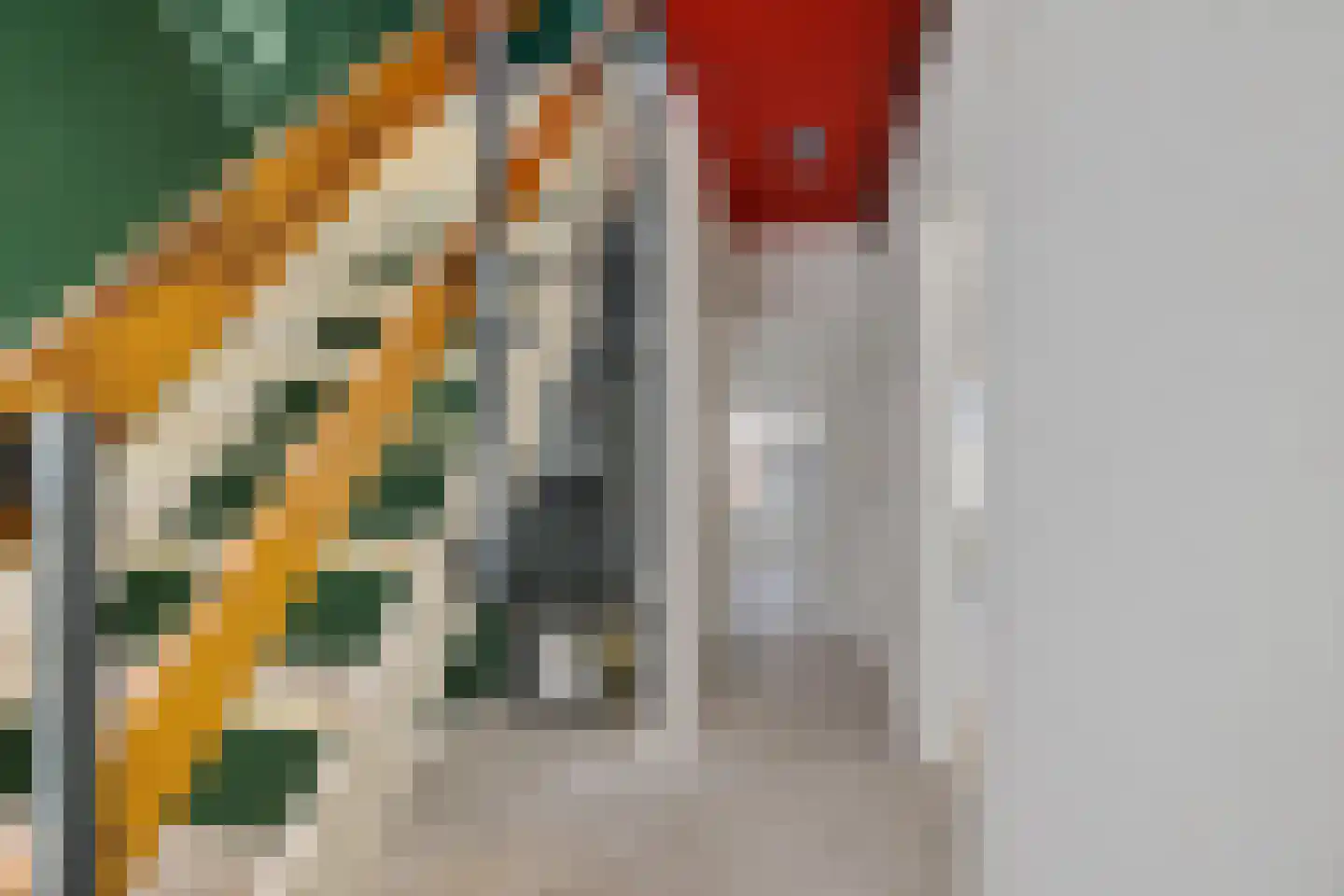 Voeghoutenstraat 60 Klazienaveen thumbnail 8