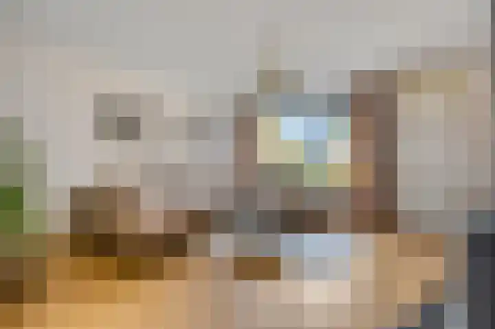 Voerakker 1 Ede thumbnail 10