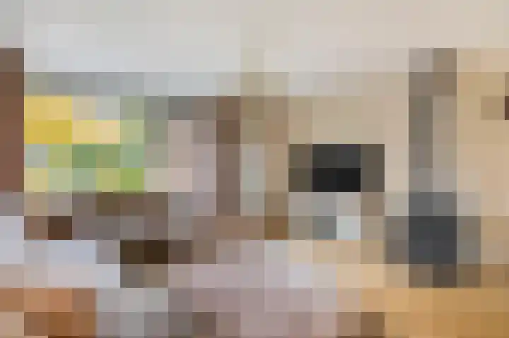 Voerakker 1 Ede thumbnail 11