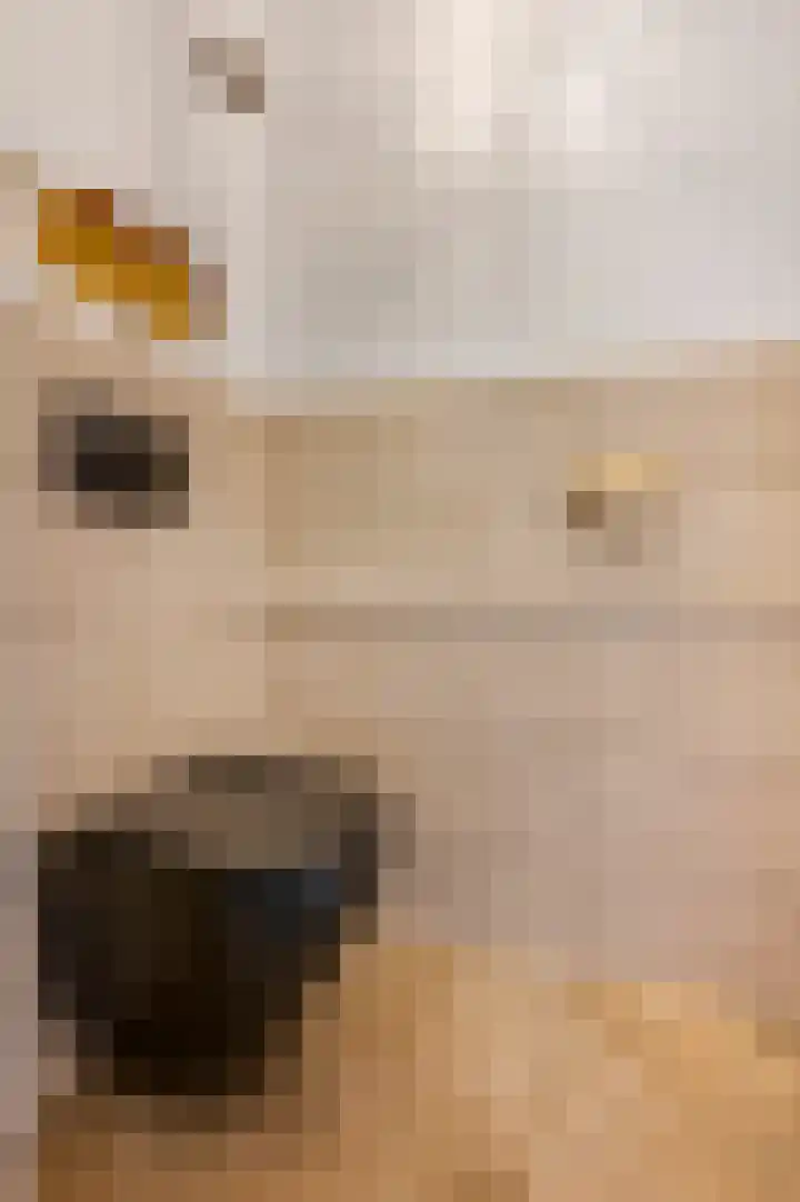 Voerakker 1 Ede thumbnail 20