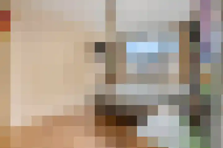 Voerakker 1 Ede thumbnail 26