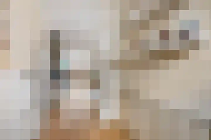 Voerakker 1 Ede thumbnail 5