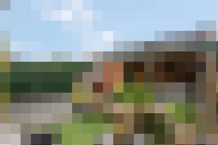 Voerakker 1 Ede thumbnail 53