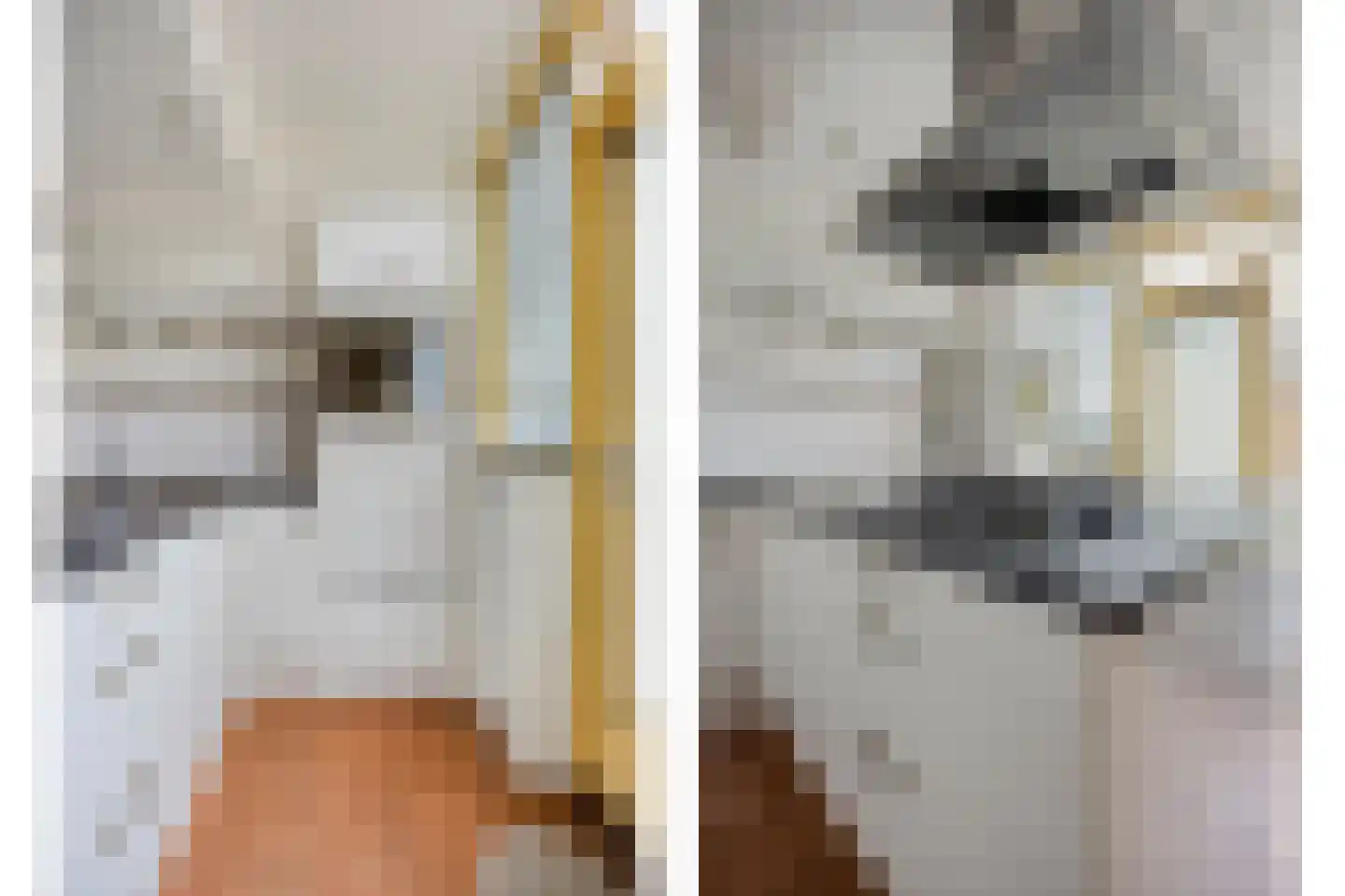 Voerakker 11 Ede thumbnail 12