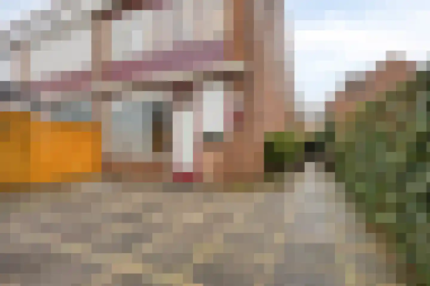 Voerakker 11 Ede thumbnail 46