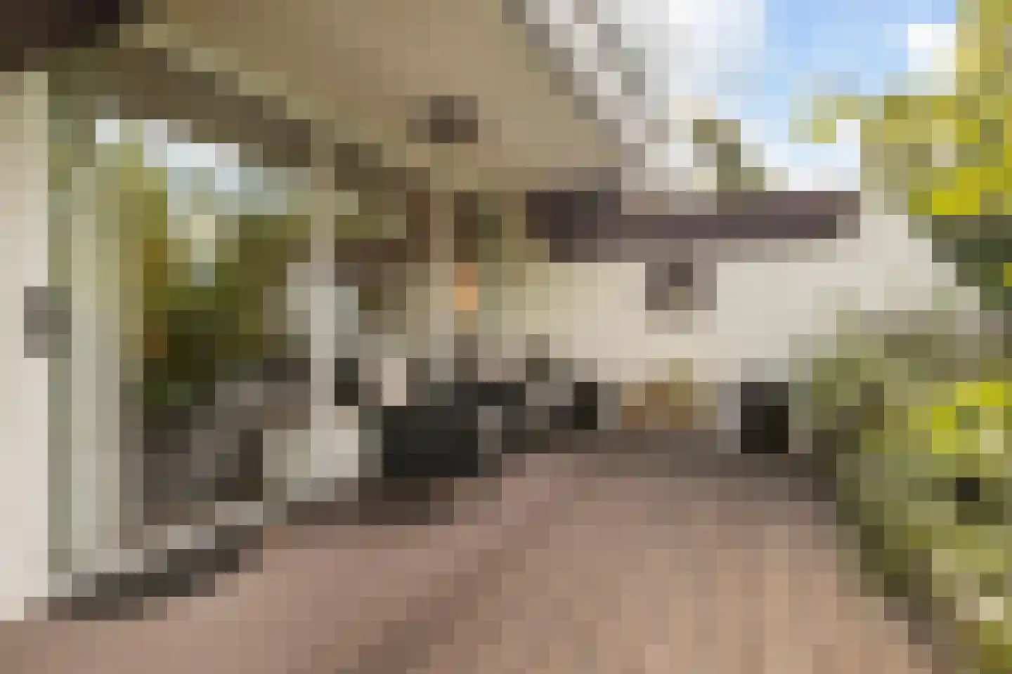 Voerakker 164 Ede thumbnail 28