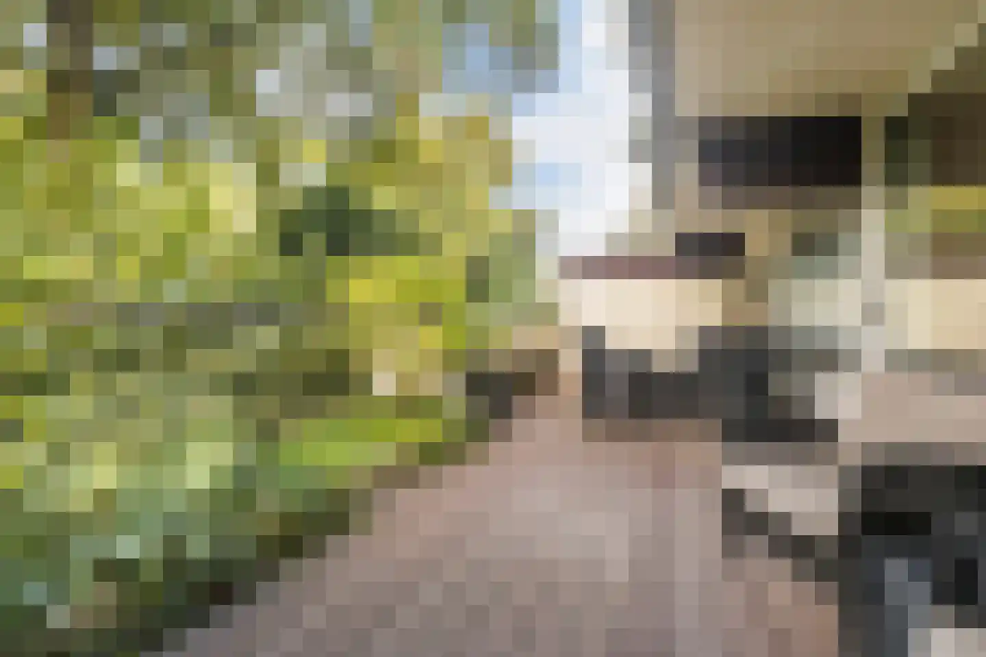 Voerakker 164 Ede thumbnail 29