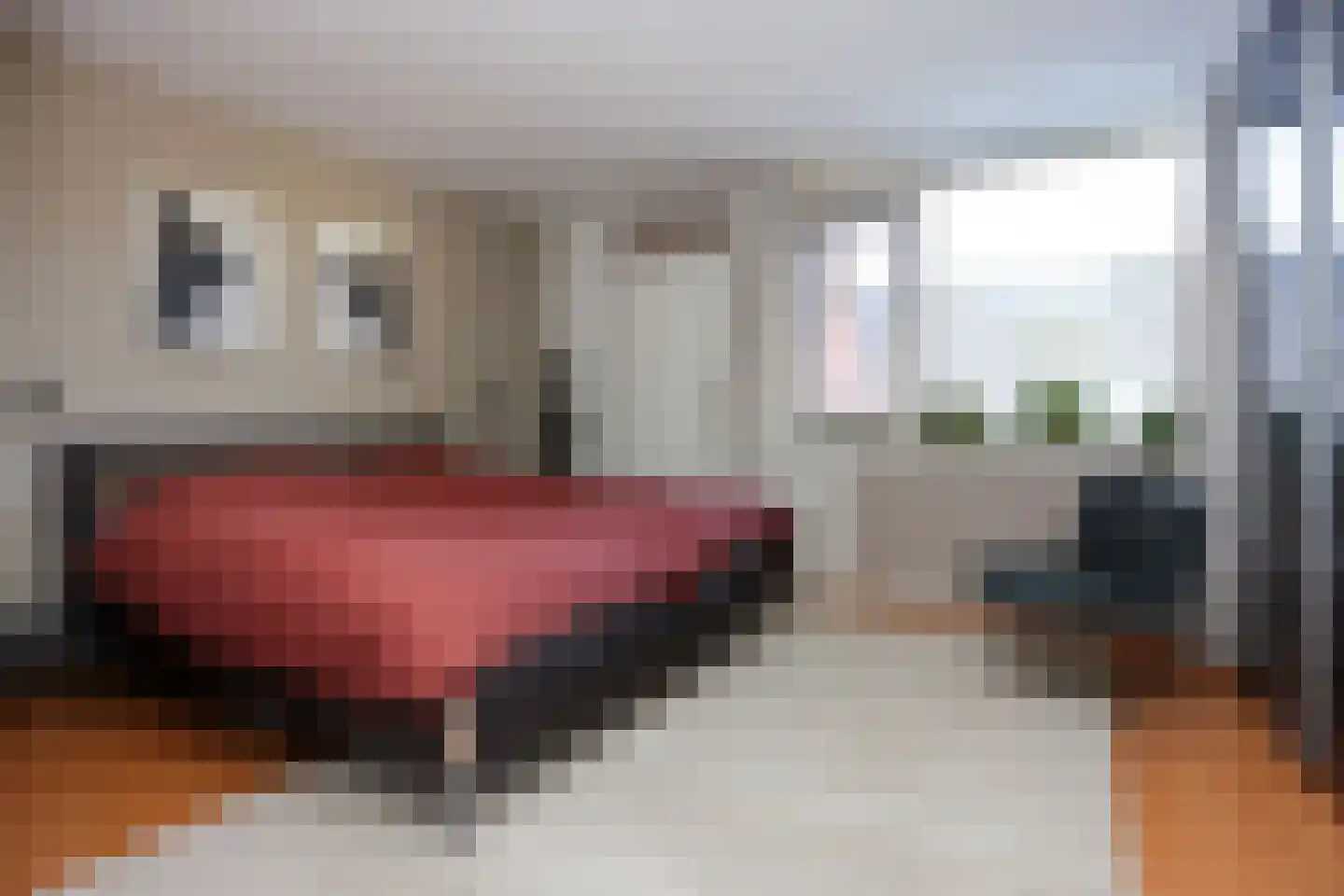 Voerakker 17 Ede thumbnail 17