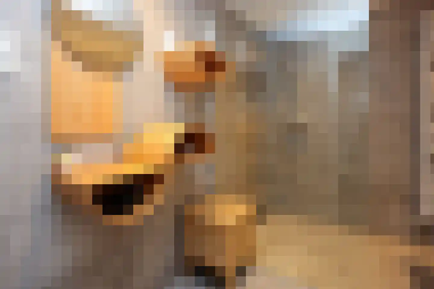 Voerakker 17 Ede thumbnail 19