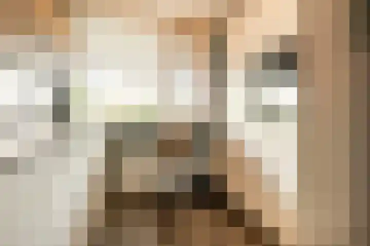 Voerakker 253 Ede thumbnail 15