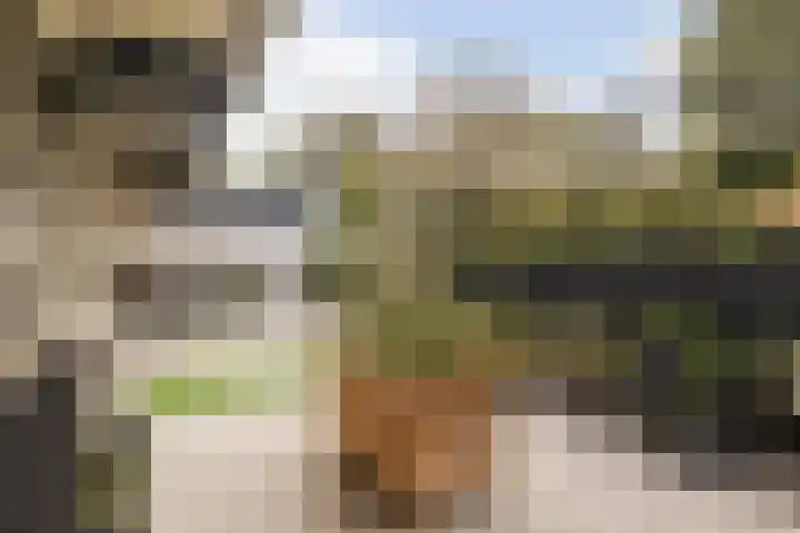 Voerakker 253 Ede thumbnail 26