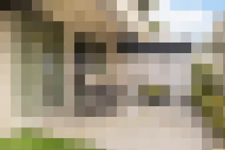 Voerakker 253 Ede thumbnail 27