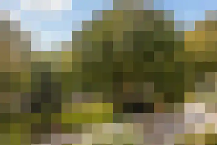 Voerakker 253 Ede thumbnail 28